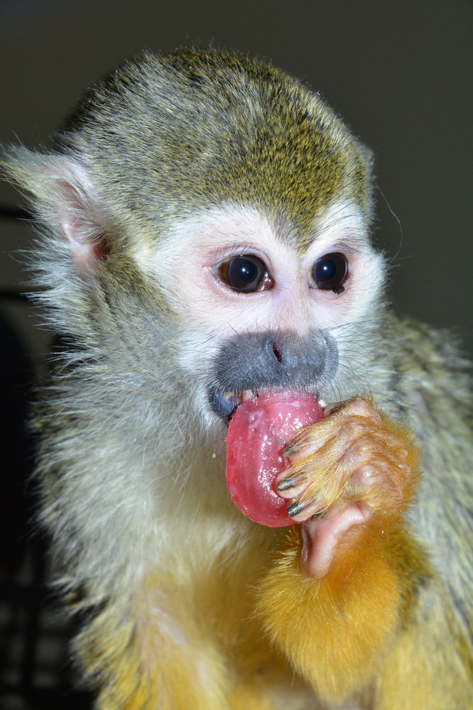 Photograph by Татьяна Кабанец