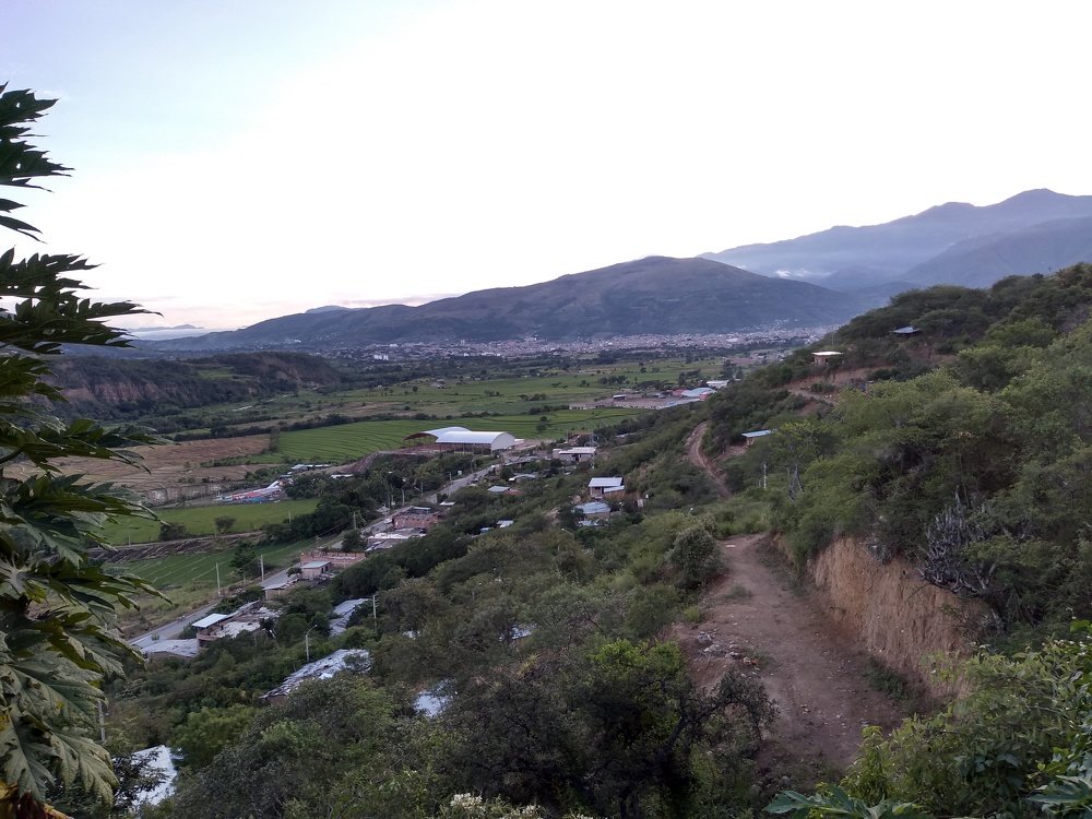 Photo #4218584
