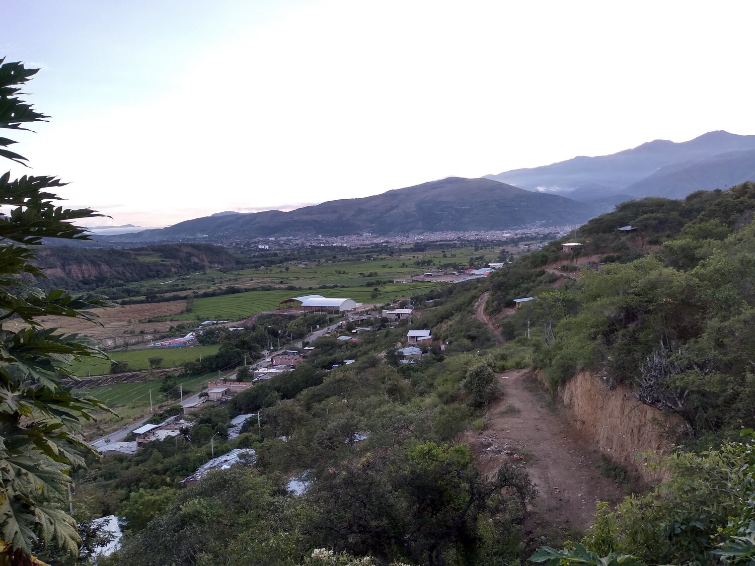 Photo #4218584