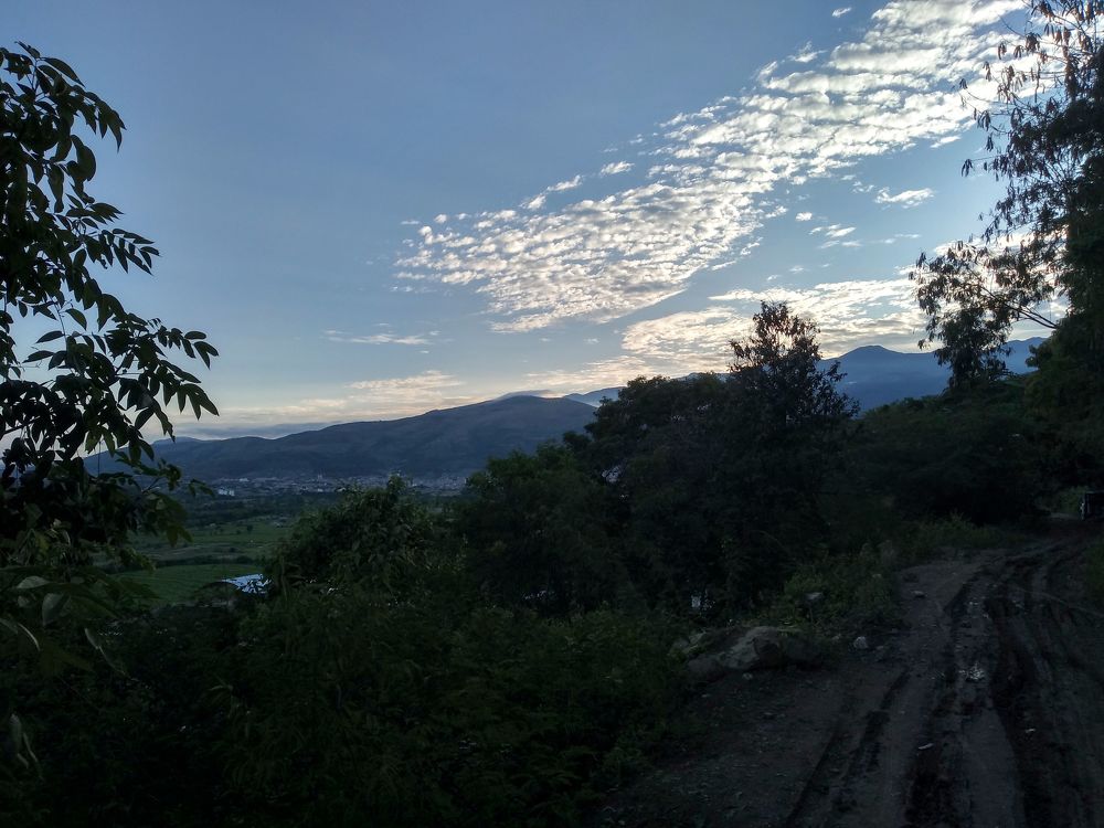 Photo #4218588