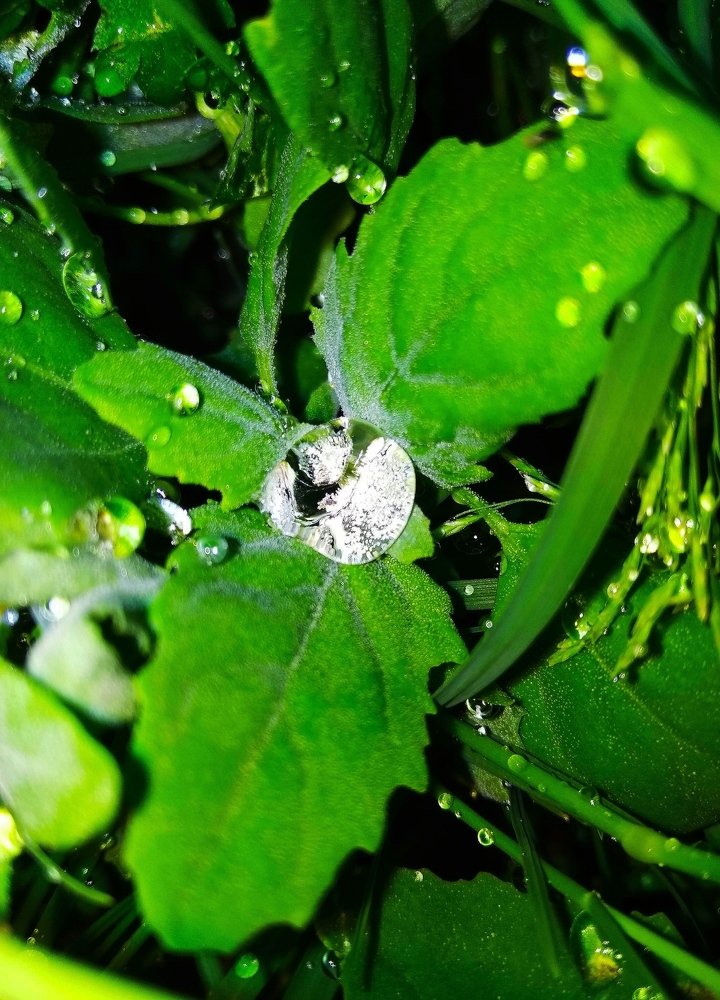 Photograph by Любовь Осипова