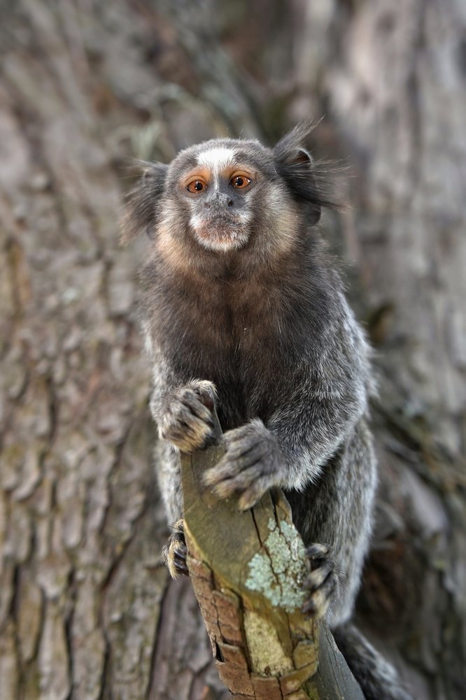 Photograph by André Lucas Fernandes