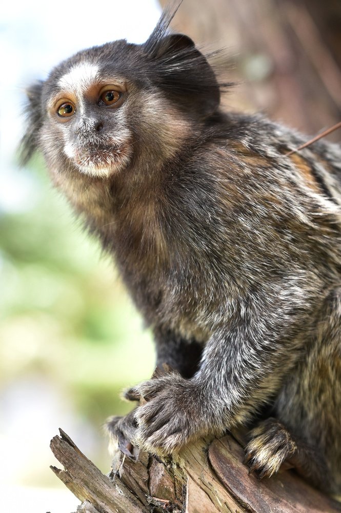 Photograph by André Lucas Fernandes