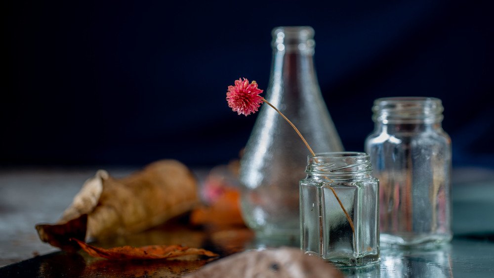 Photograph by ElektroNik