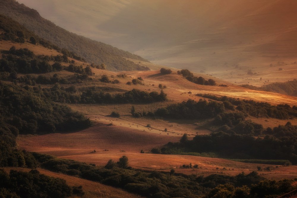 Photograph by Татьяна Бирюкова