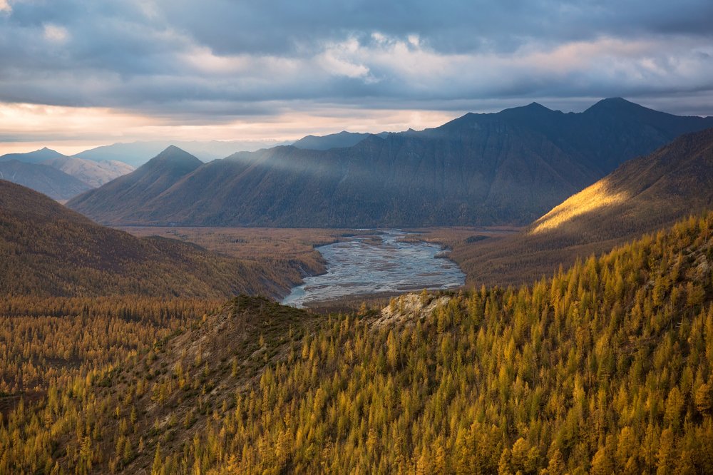 Луч солнца золотого...
