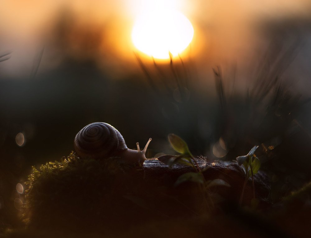 Photograph by Екатерина Науменко