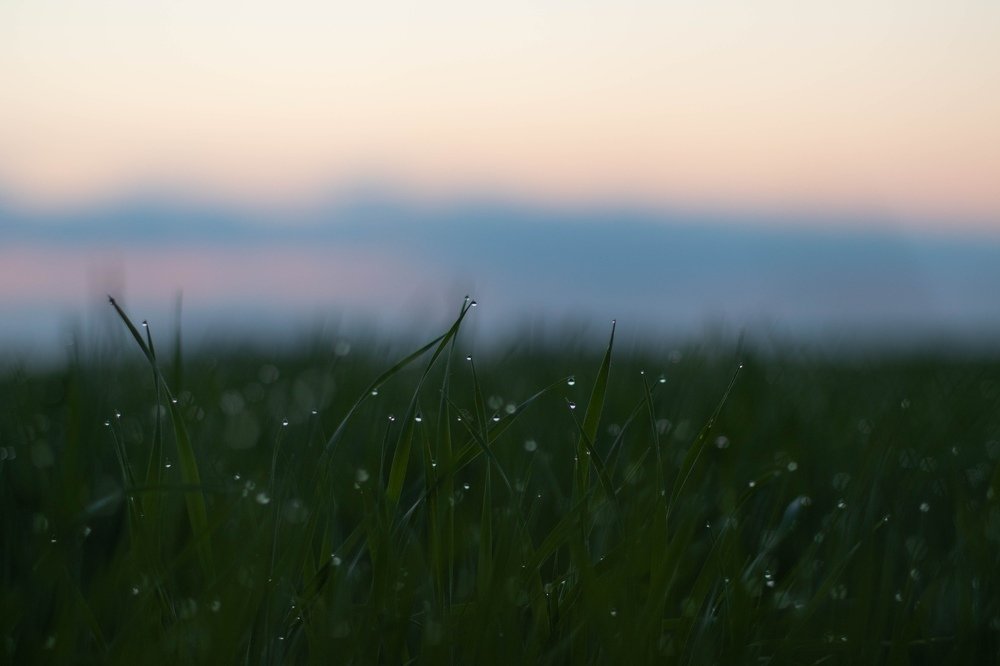 Photograph by Иван Гаврелюк