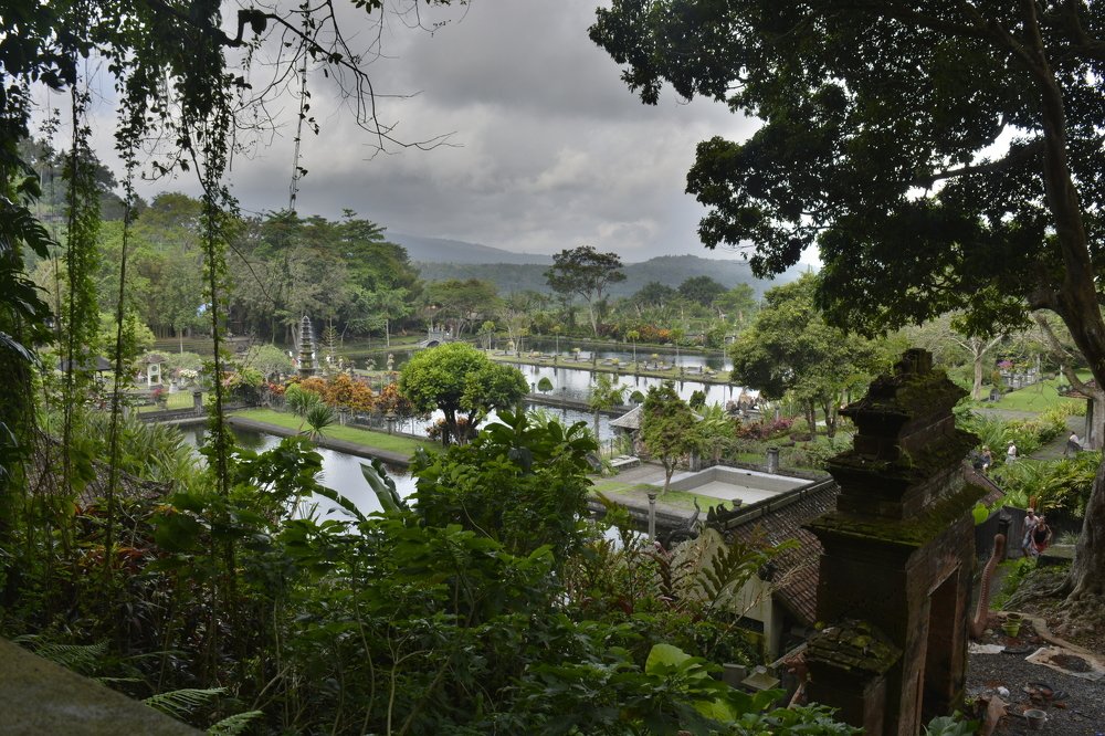 Photograph by Roozbeh Rahiminejat