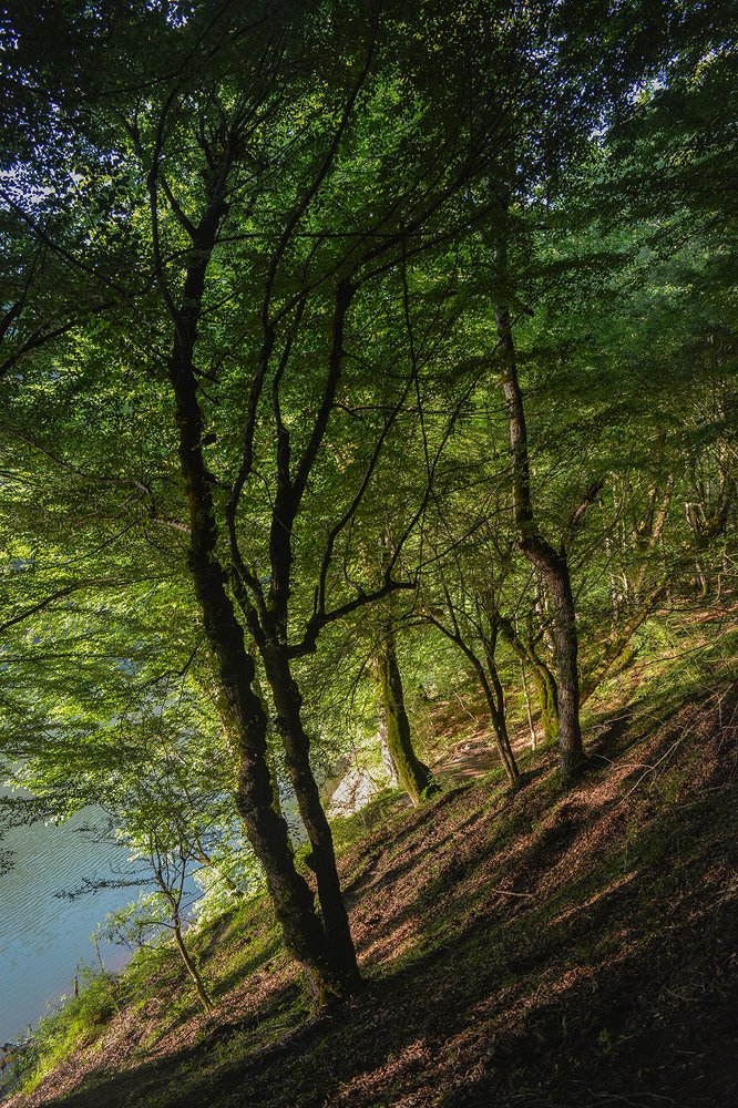 Photograph by Roozbeh Rahiminejat