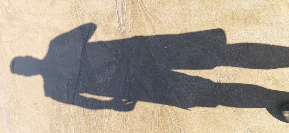 Photo #4218899