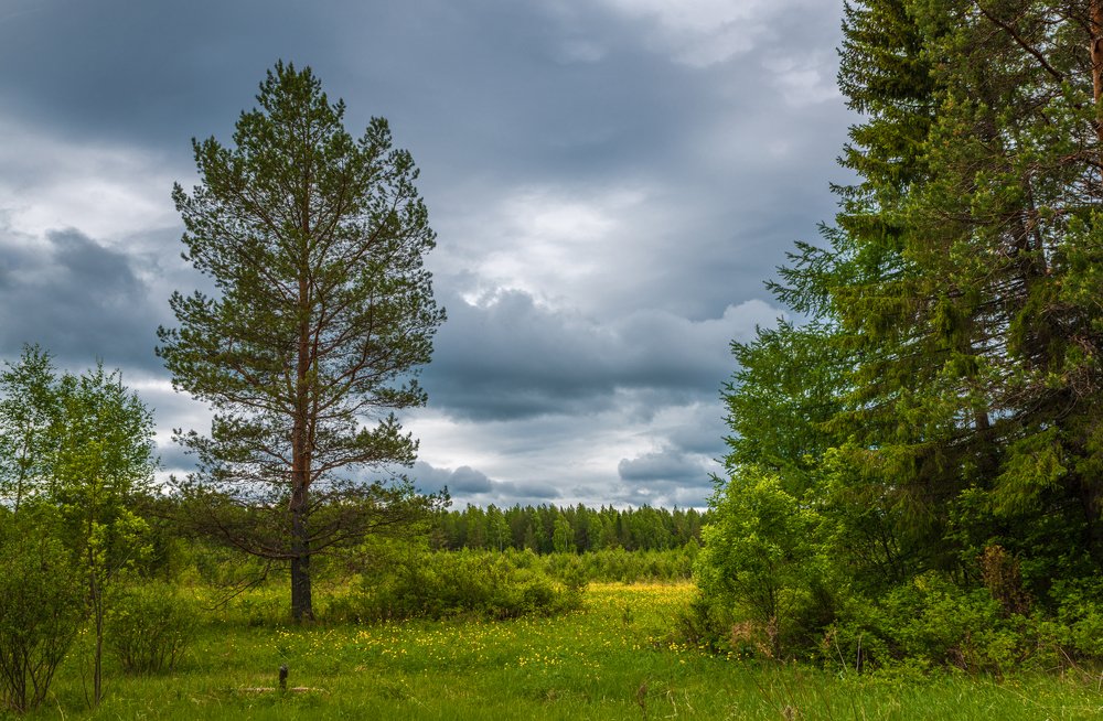 Photograph by Воинков Виктор