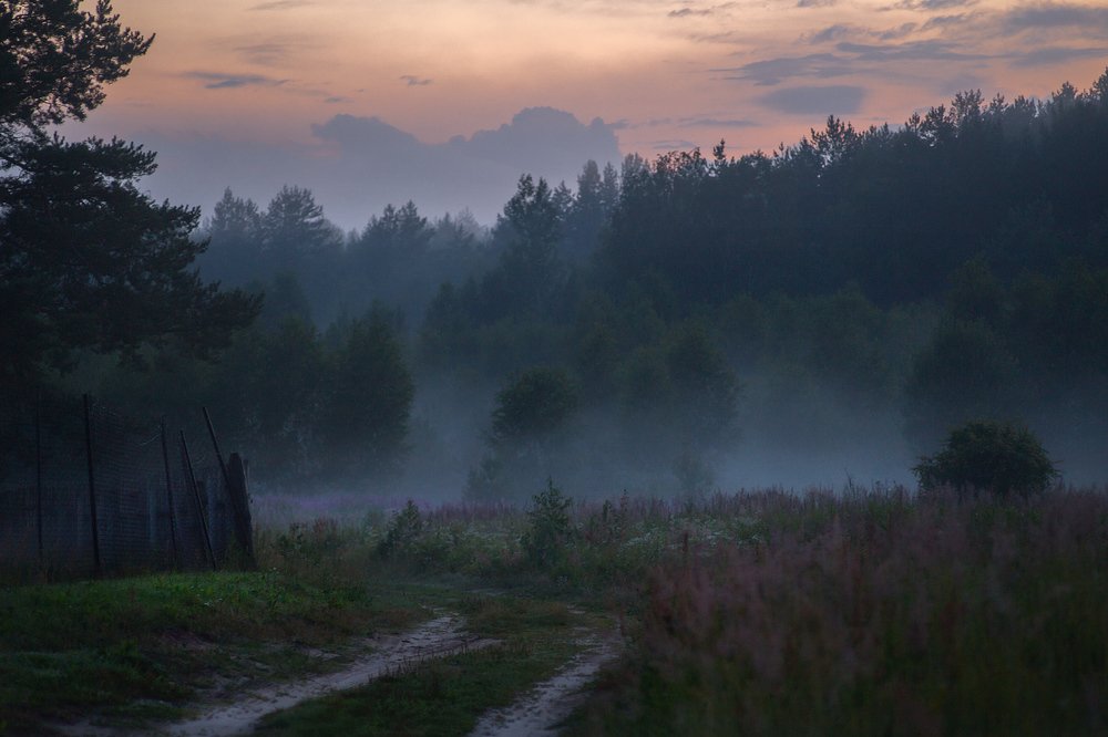 Photograph by Дмитрий Алексеев