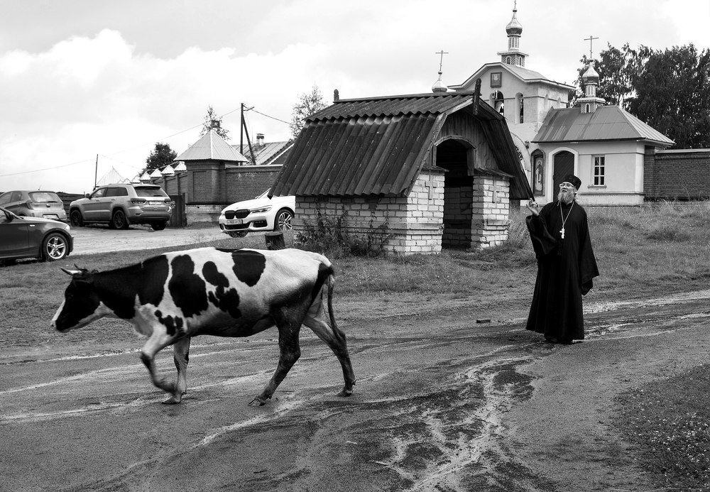 Photograph by Леонид Николаев