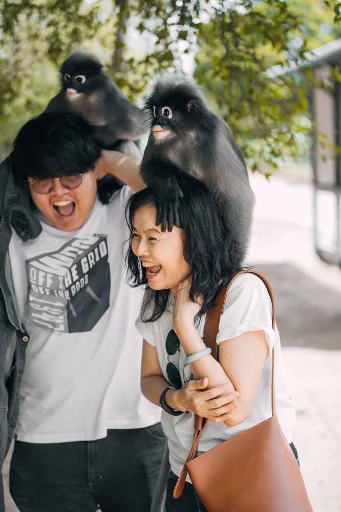 Photograph by Krid Karnsomdee