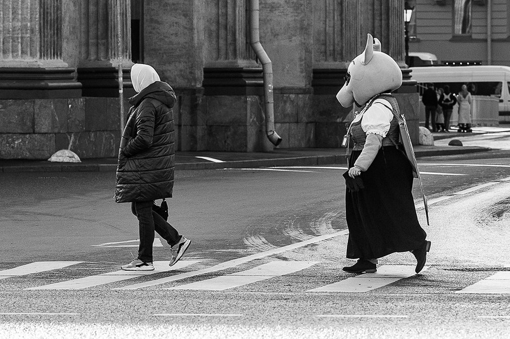 Photograph by Чистякова Валерия