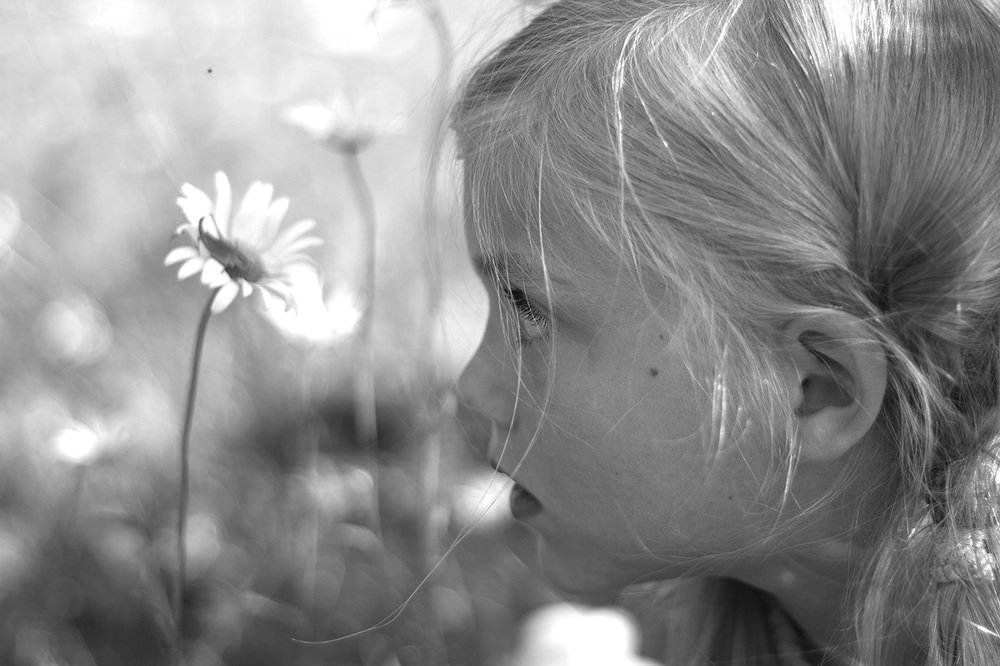 Саша и  кузнечик