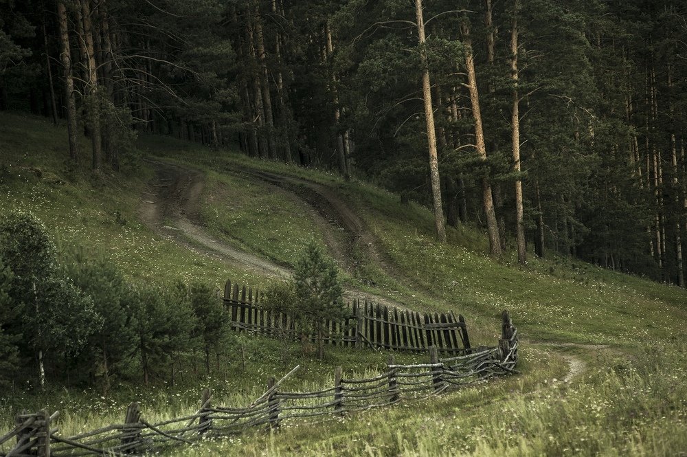 Photograph by Альбина Хакимова