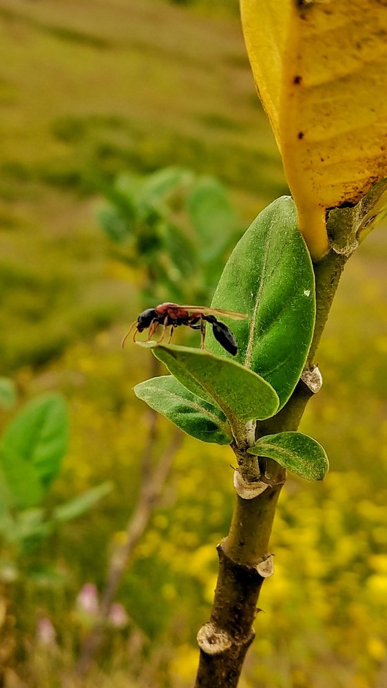 Photograph by SAGAR PAWAR