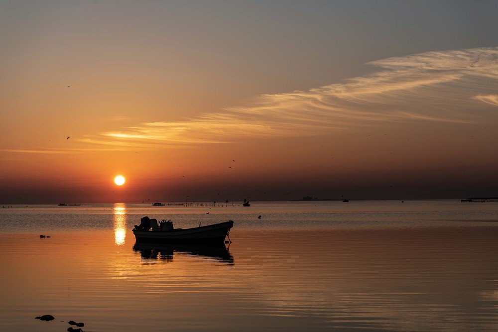 Photograph by Joyson Kunjumon