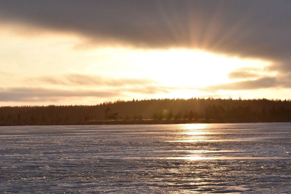 Photograph by Зоя