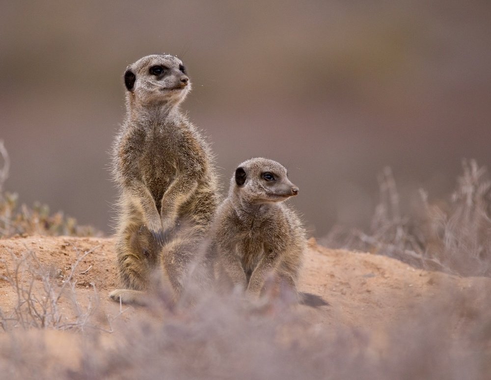 Photograph by Владимир Цветов