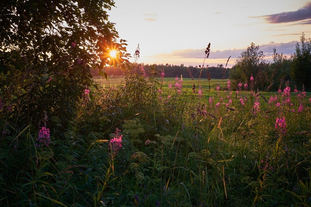 Photograph by Антон Каменский