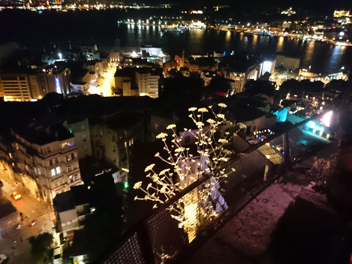 Photo #4219278