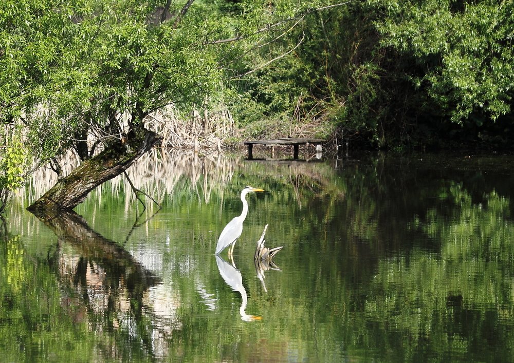 В ожидании завтрака