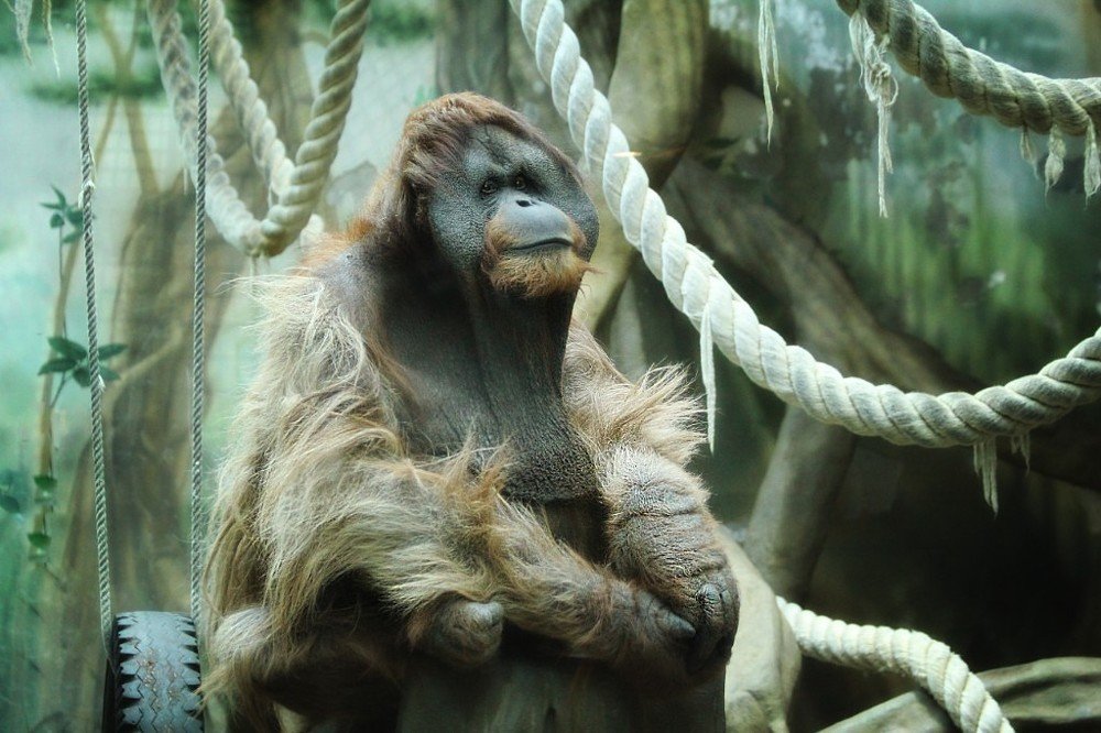 Photograph by Евгения Сафронова