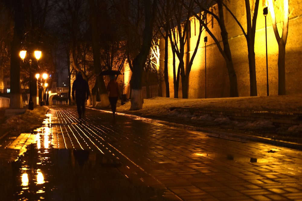 Фотография автора Анастасия Потапова