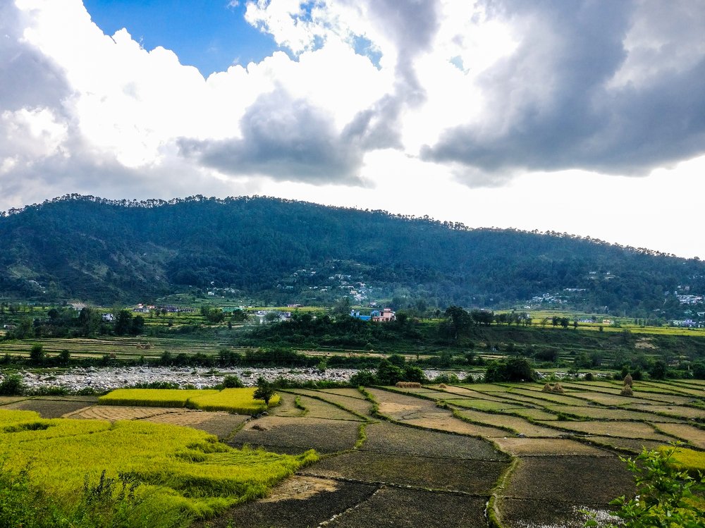 Photograph by SAYARI BANERJEE