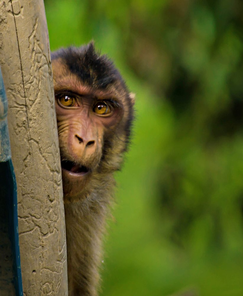 Photograph by Kriswanto Ginting