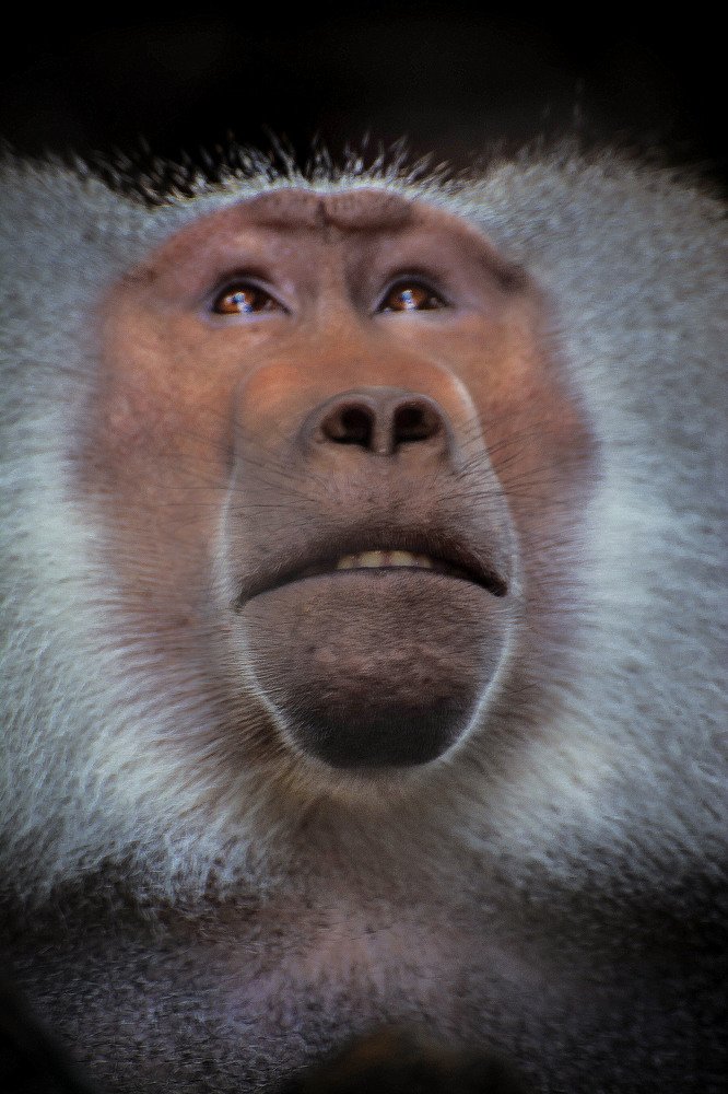 Photograph by Kriswanto Ginting