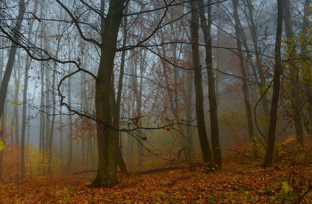 Осеннее утро