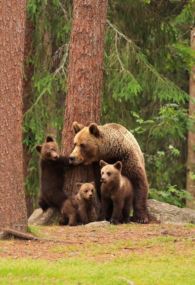 В ожидании фотографа.