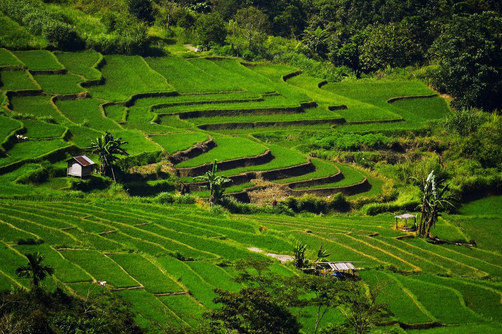 Photograph by Kriswanto Ginting