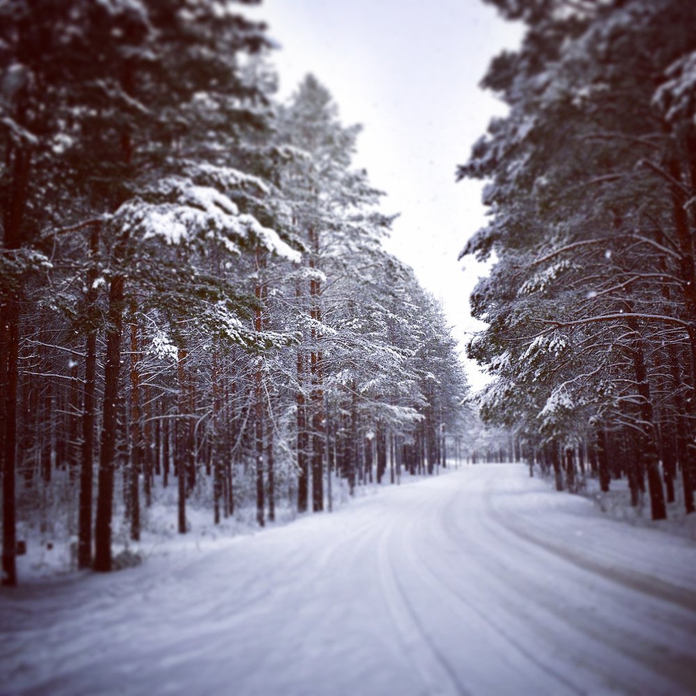 Photograph by Kira Bahvalova