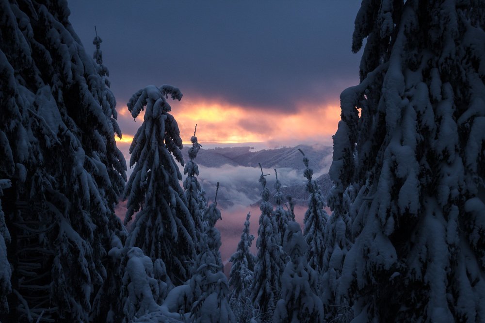 Приготовились