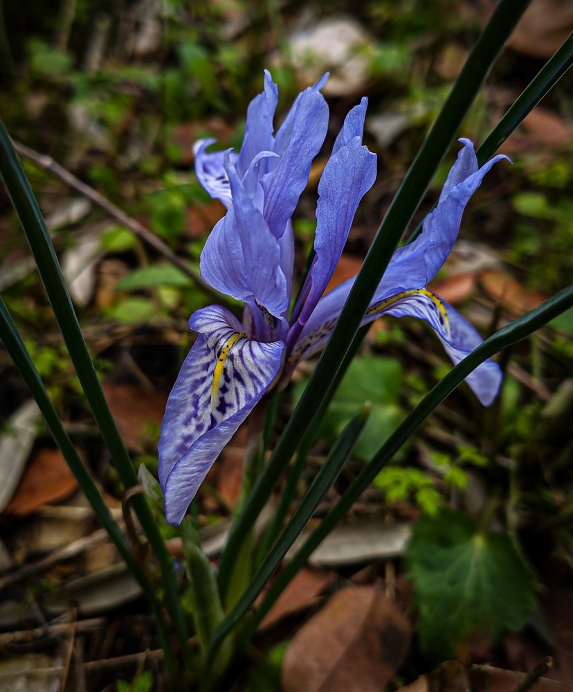 Photograph by Charbel Dahdah