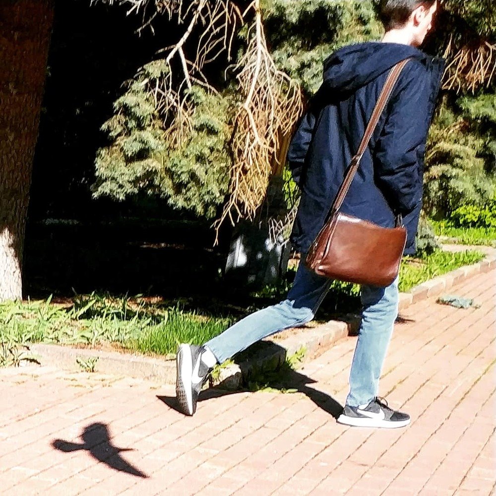 Тень судьбы