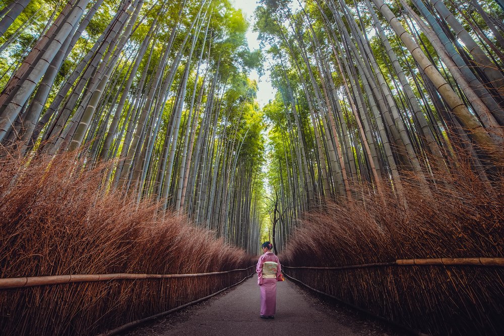 Photograph by Александр Ипполитов