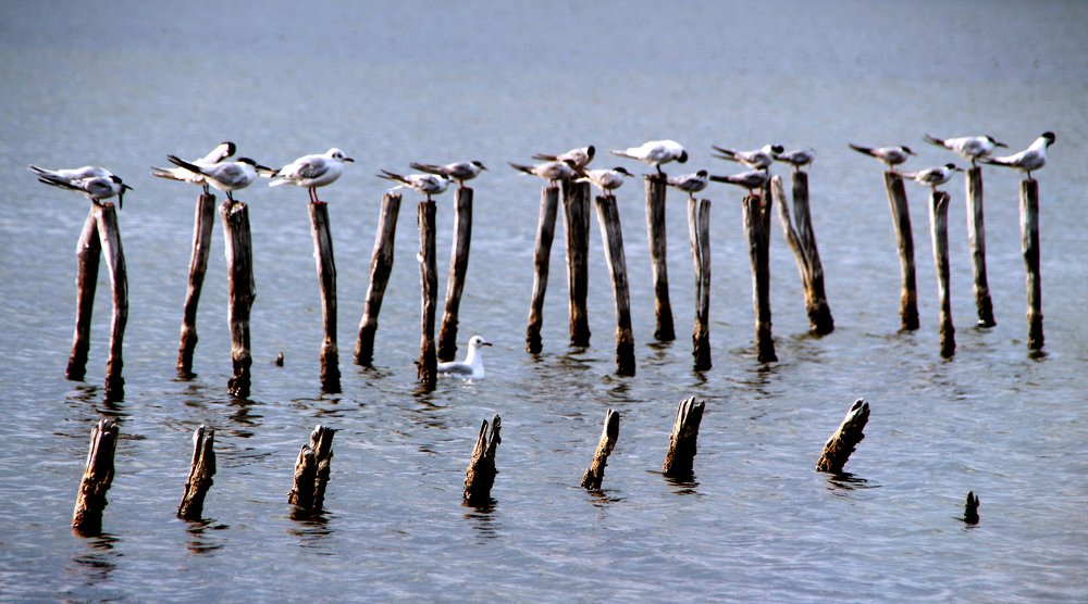 Photograph by Валерия Маркова