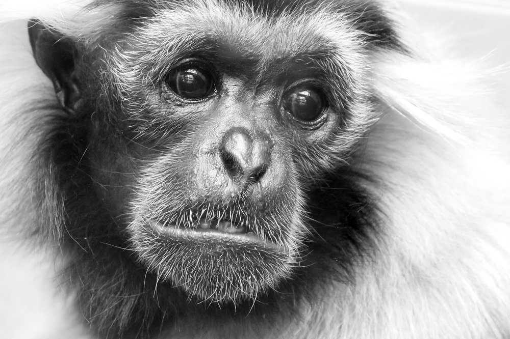 Photograph by Сергей Осинцев