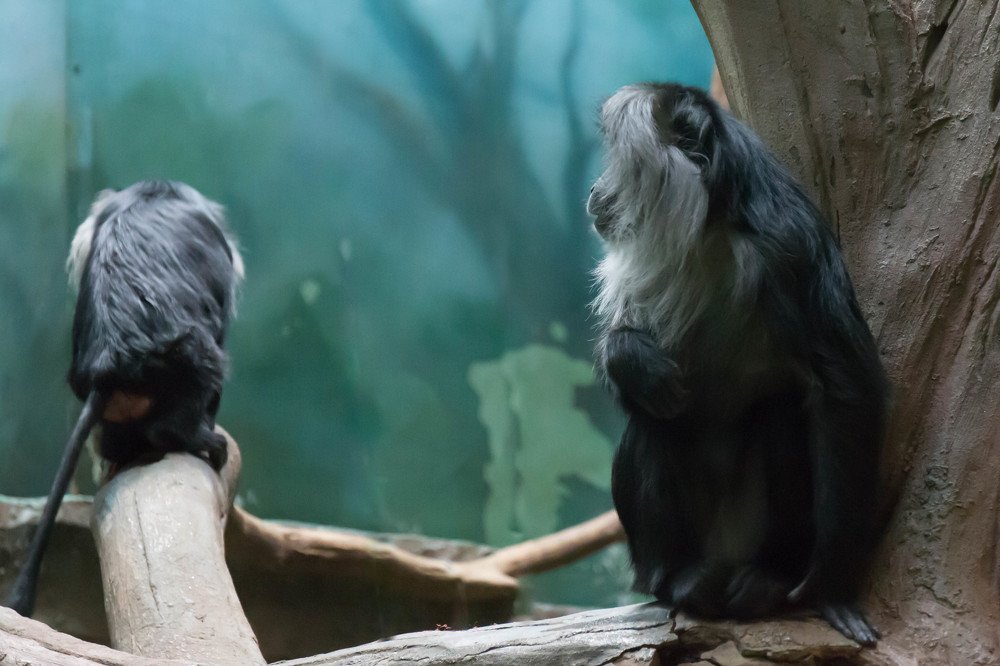 Photograph by Сергей Осинцев