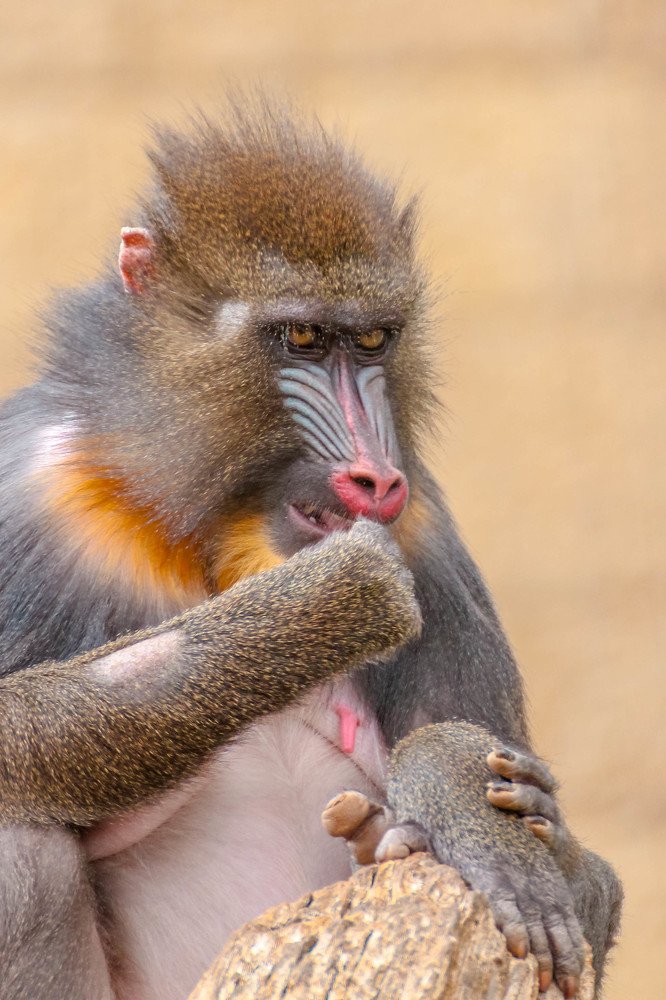 Photograph by Сергей Осинцев