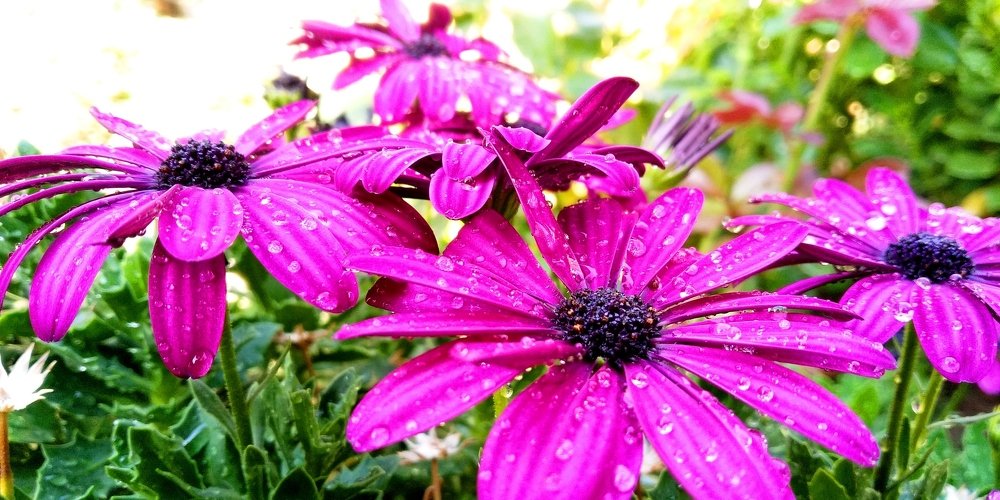 Photograph by Anetta Kopenkina