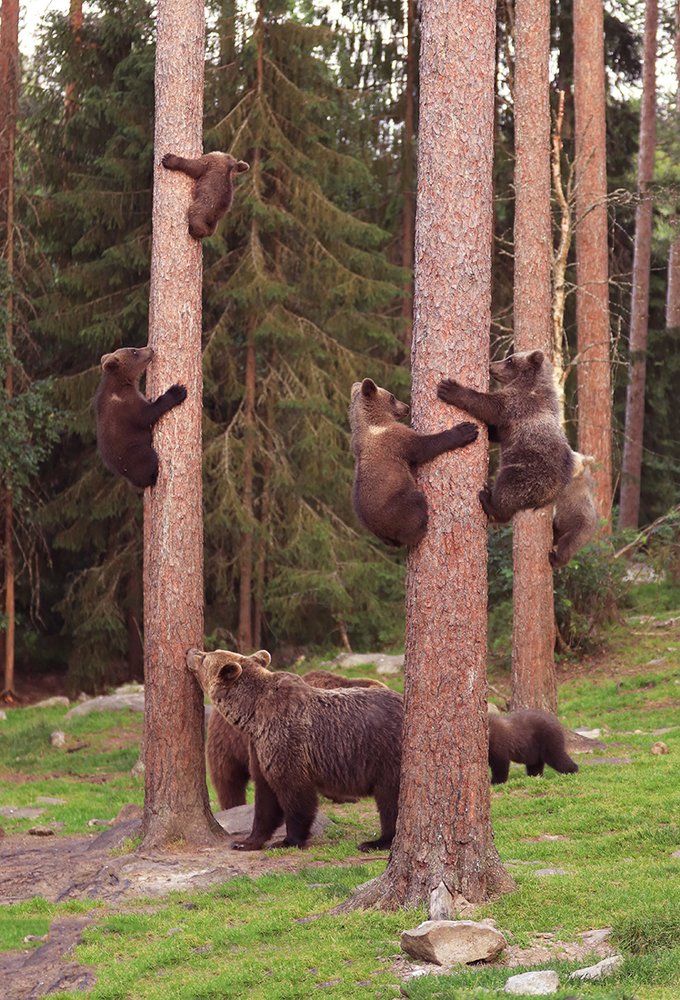 На утренней прогулке в детском садике.