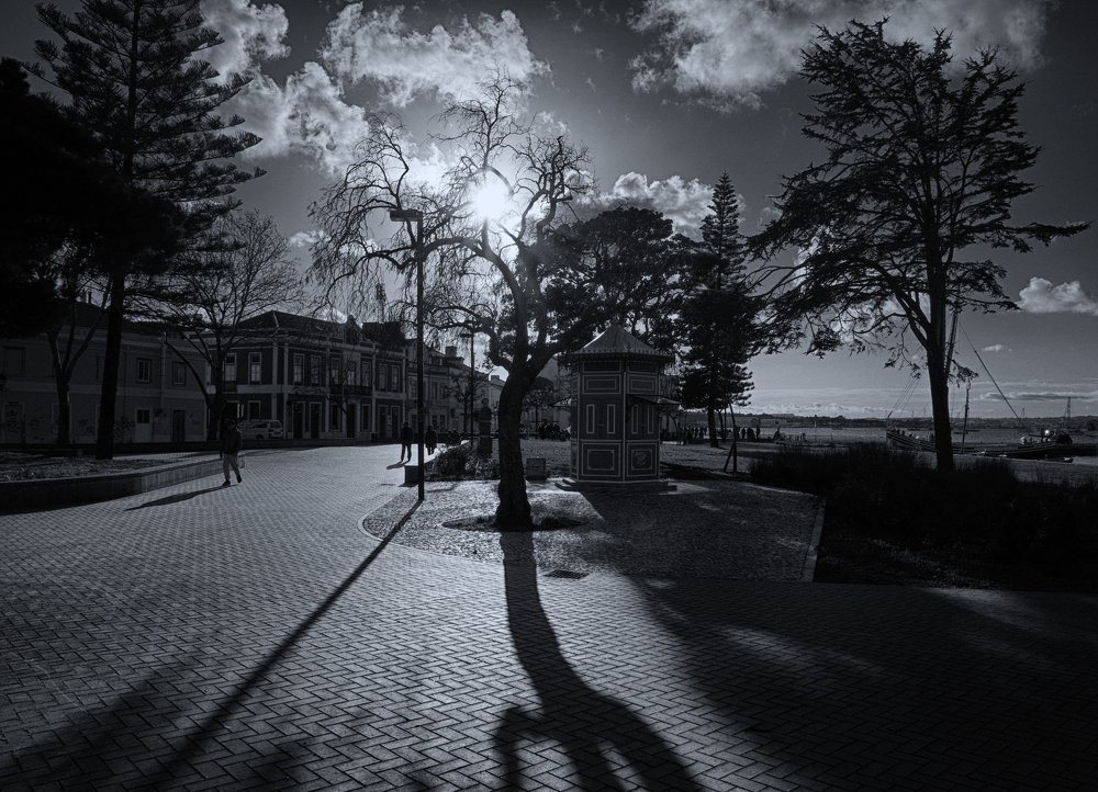 Photograph by Mário C.