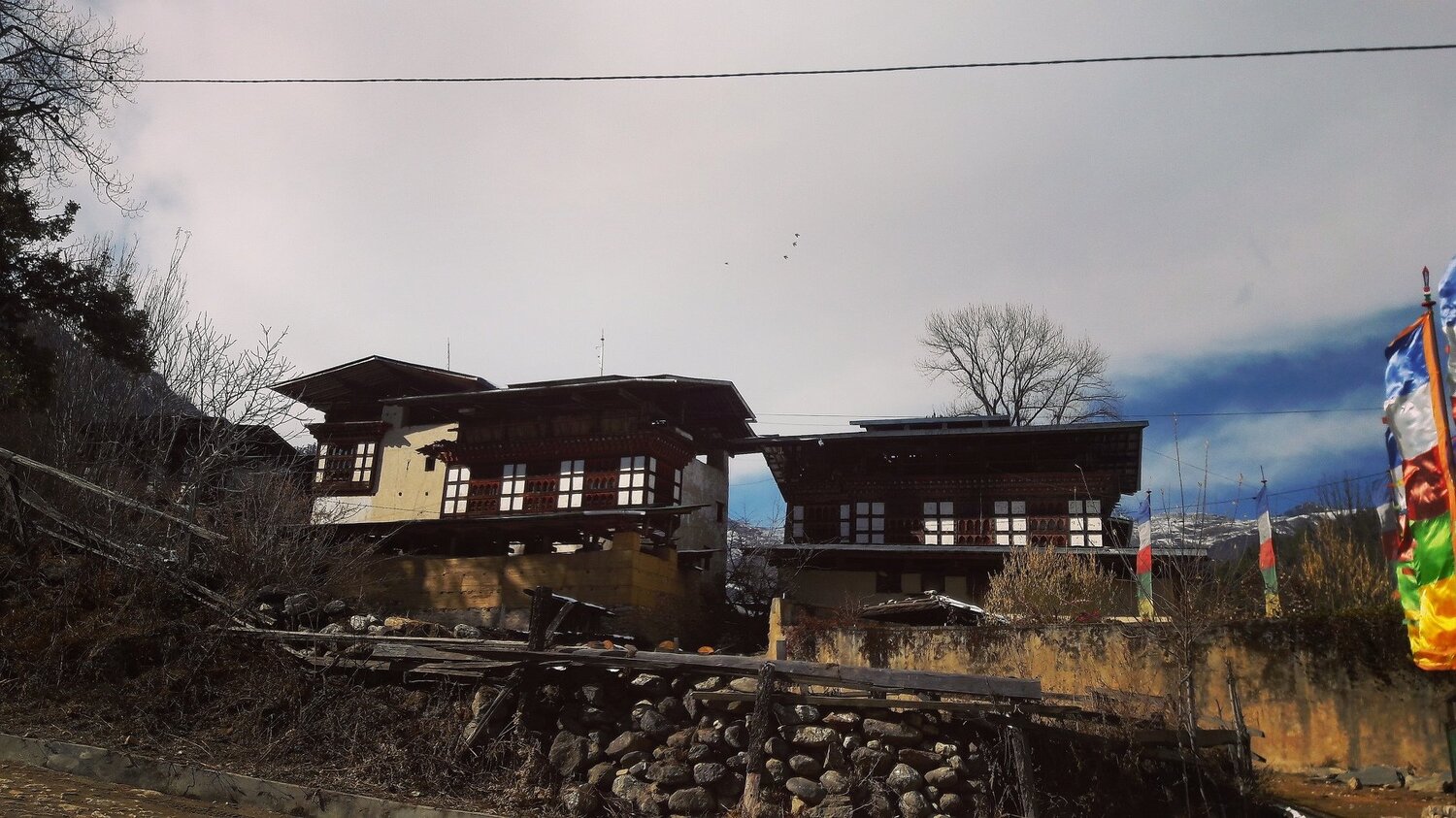 Photo #4220084